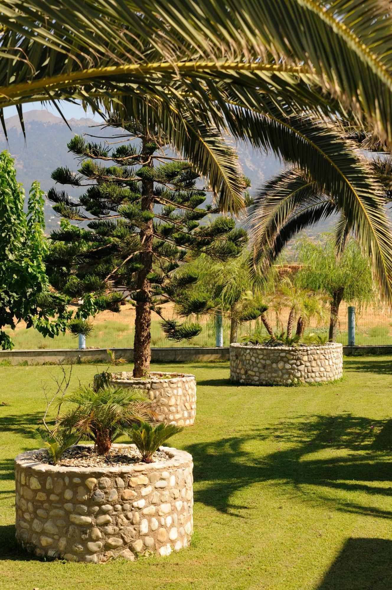 Akti Dimis Hotel Tigaki Dış mekan fotoğraf